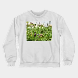 Peaceful View from My Morning Yoga Practice -- Pigeon Pose Art Crewneck Sweatshirt